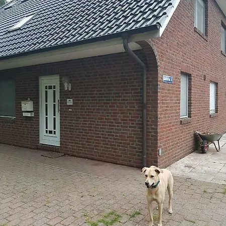 アパート 60m² In Kleiberstrasse